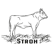 Biergarten Zum Flaucher Ochsenfleisch